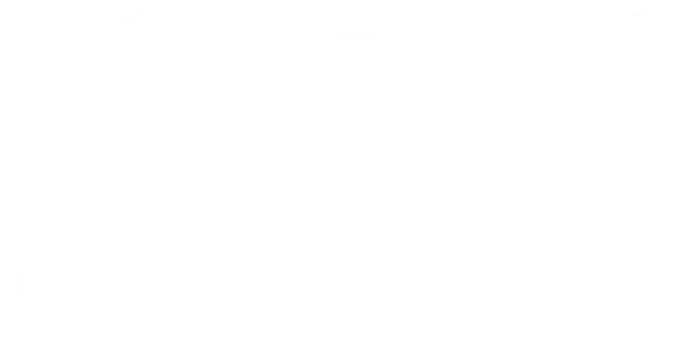 Sportpistole